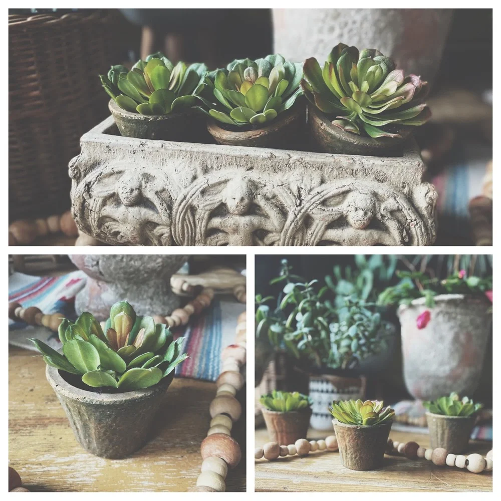 Set of 3 Rustic Clay Potted Faux Succulents - Boho Home Decor